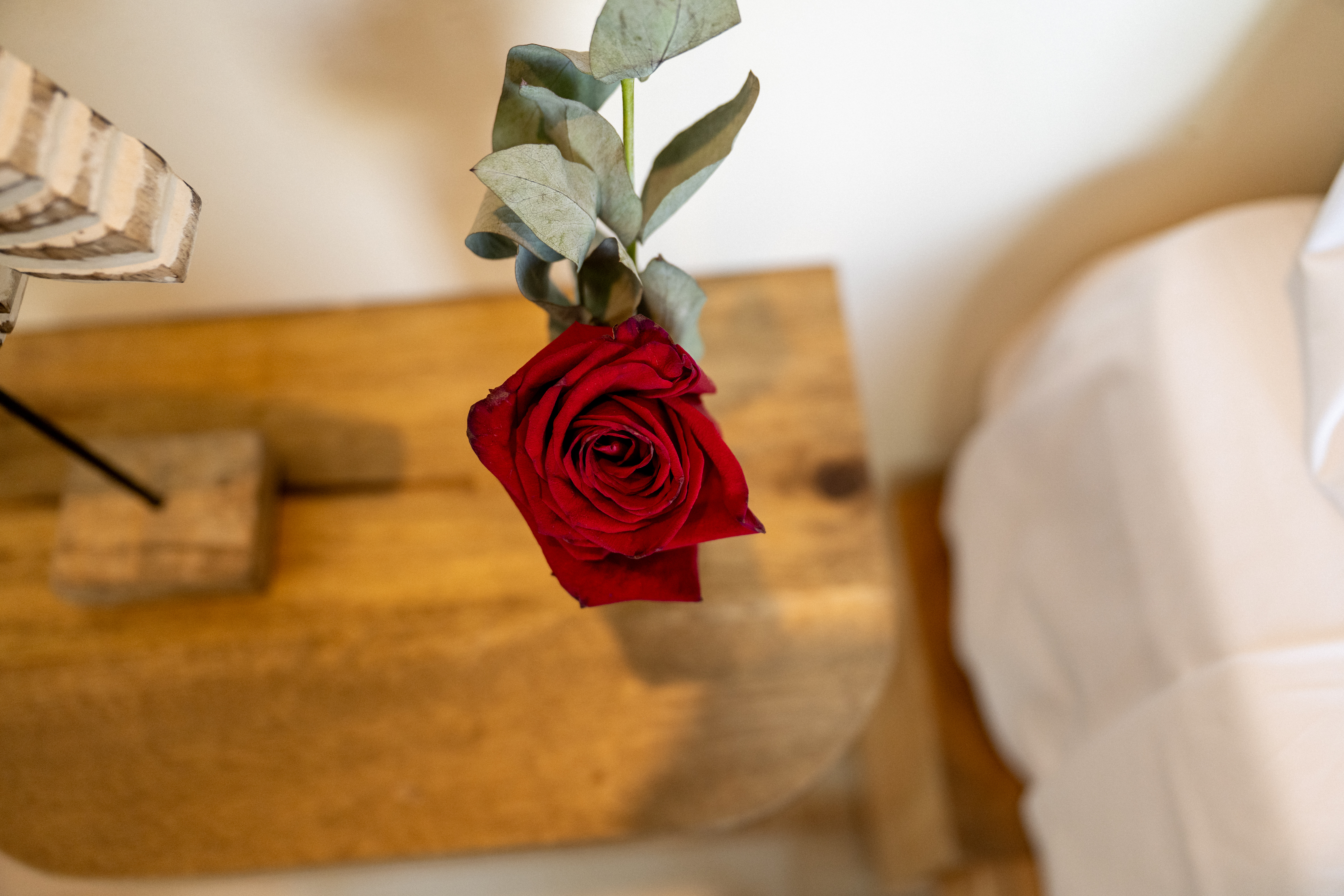 habitación villatortuga 51